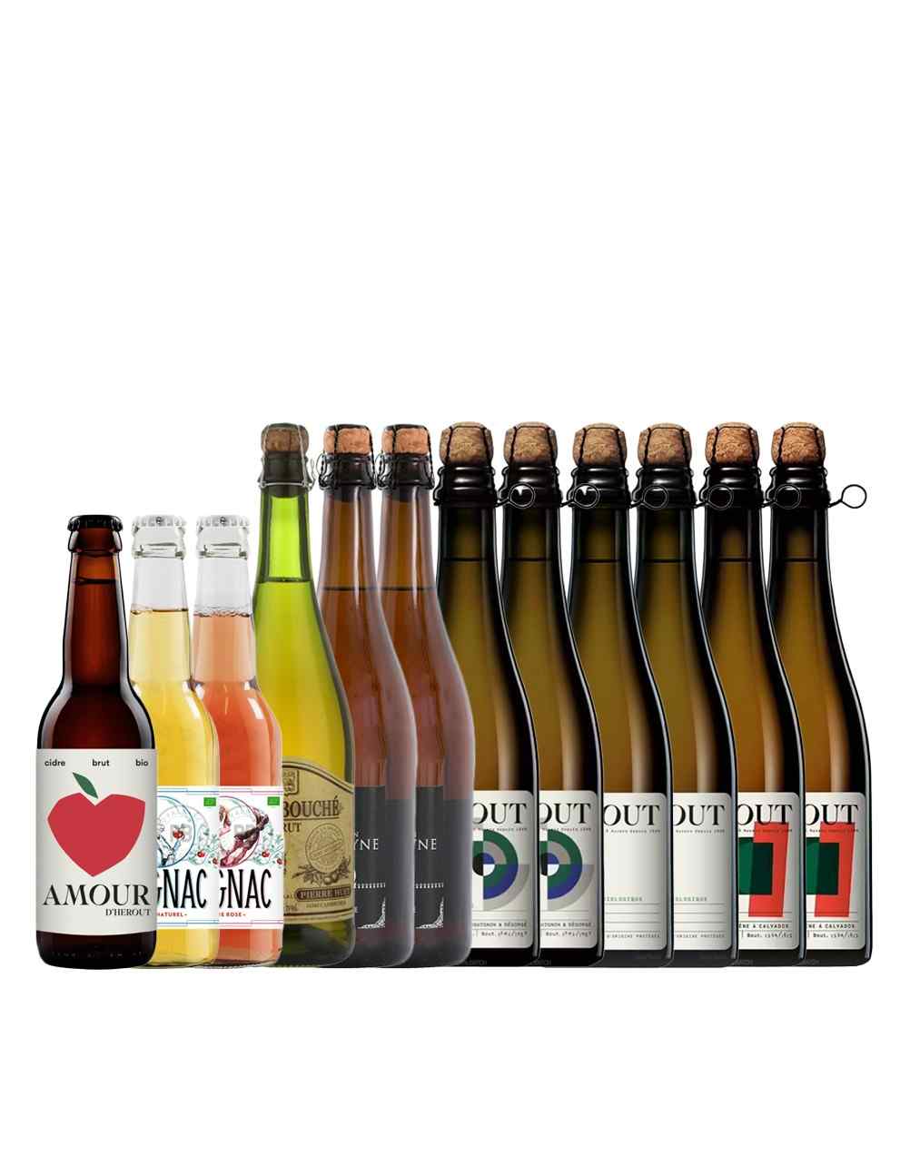 French Cider All Producers Variety Case I