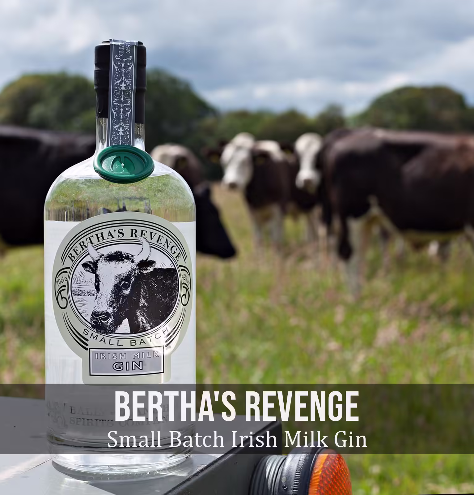 Bertha's Revenge Small Batch Irish Milk Gin