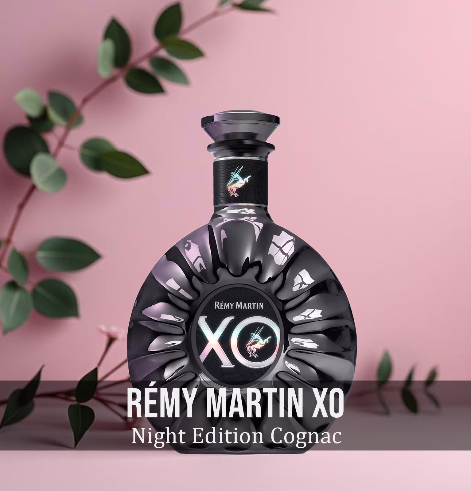 Remy Martin XO Night Edition Cognac