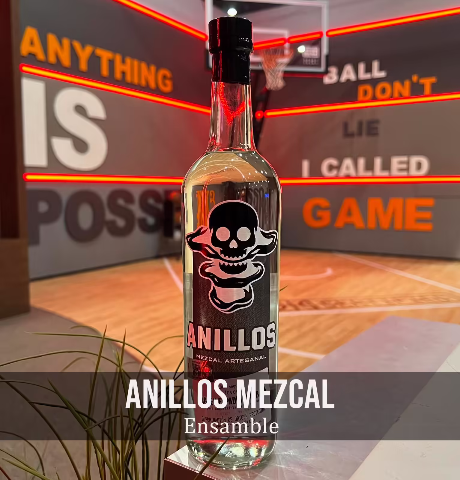Anillos Mezcal Ensamble