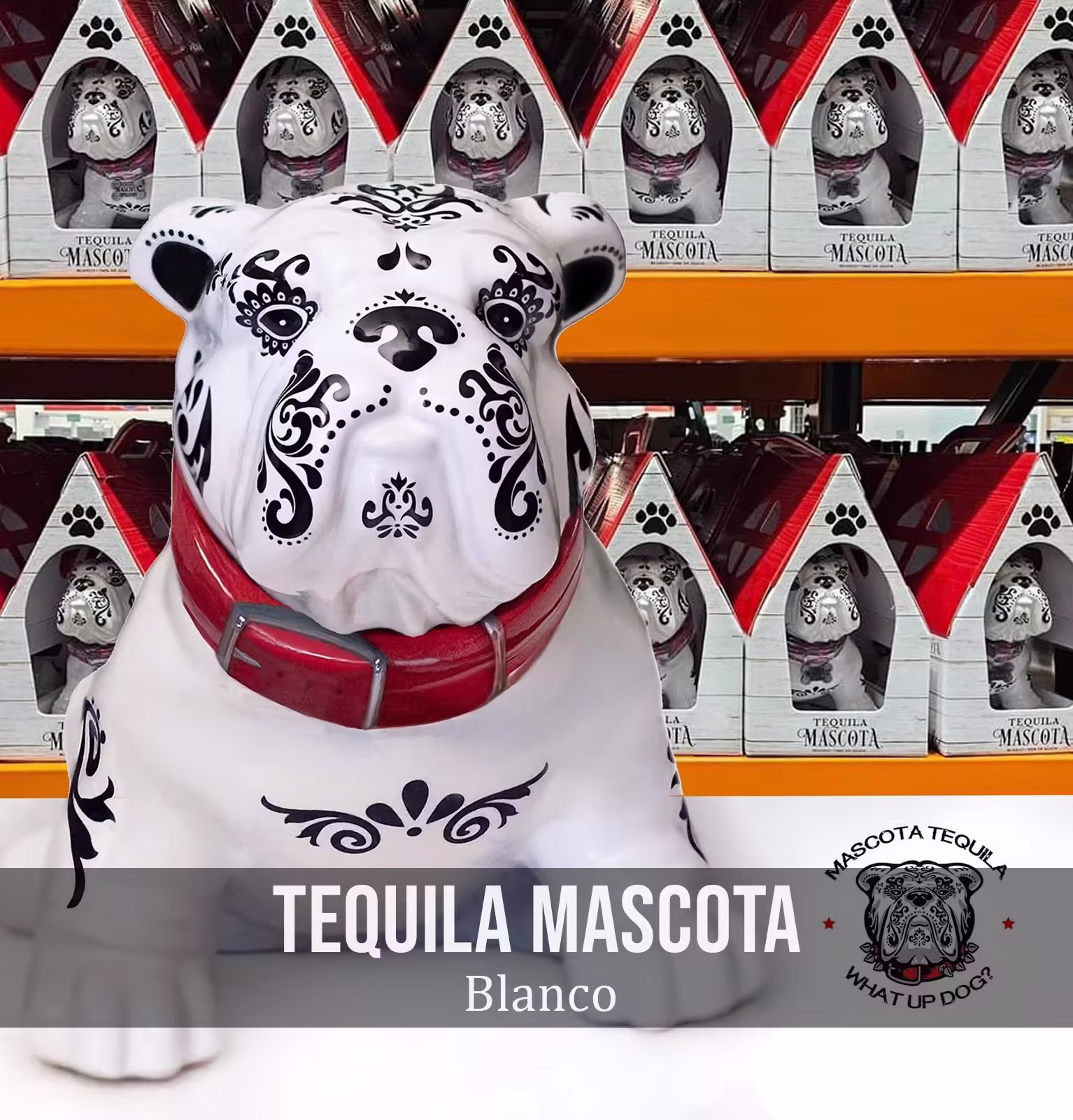 Tequila Mascota Blanco