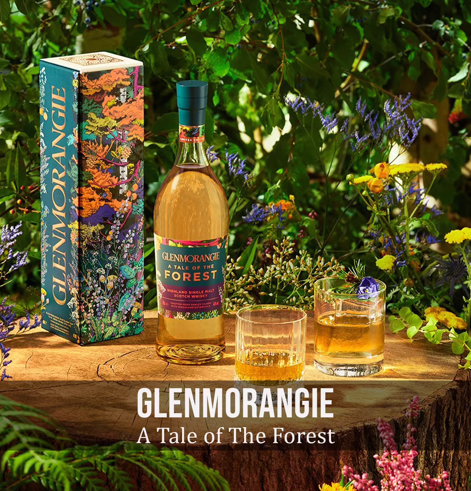 Glenmorangie A Tale of The Forest Highland Single Malt Scotch Whisky