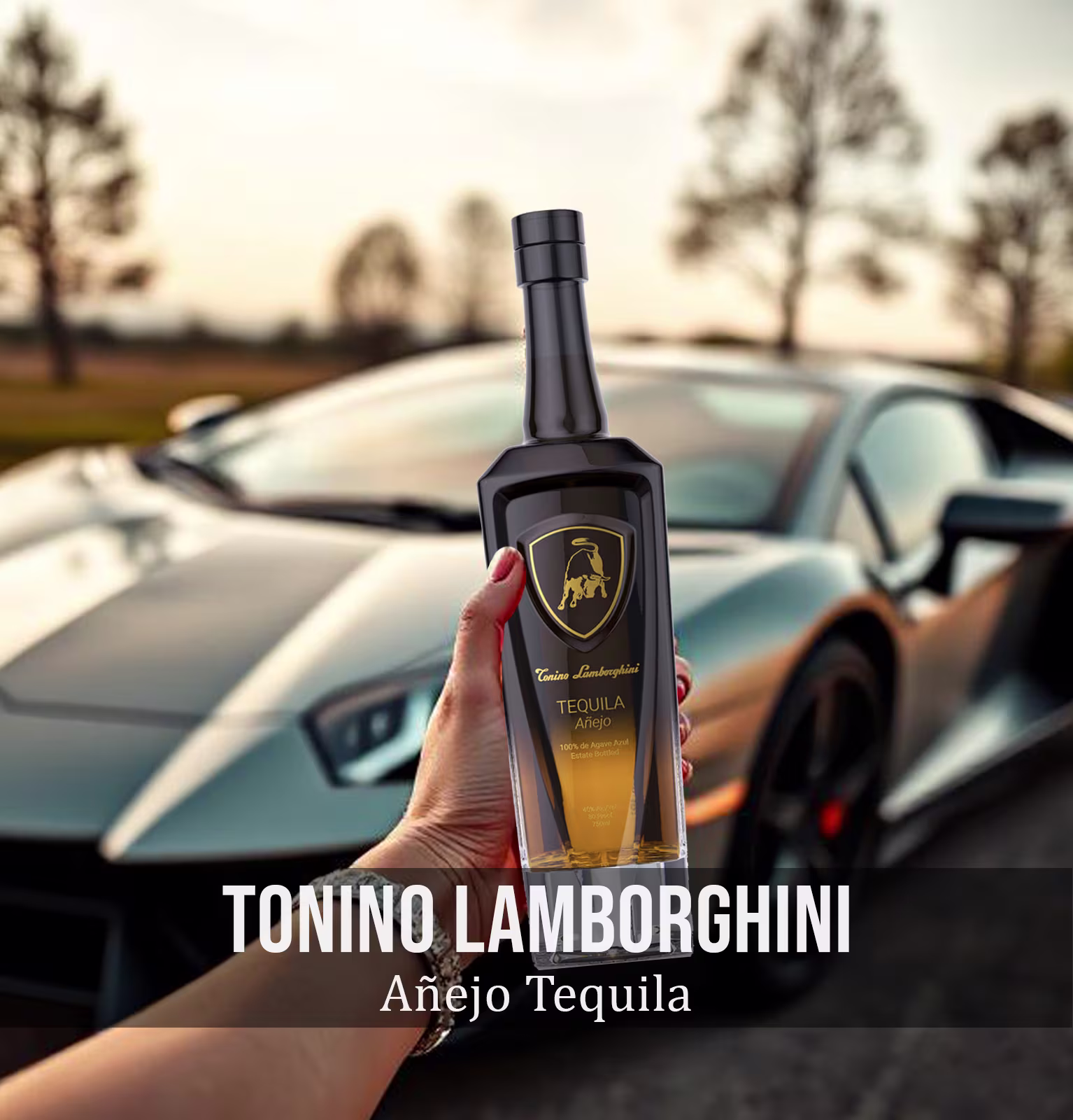 Tonino Lamborghini Añejo Tequila
