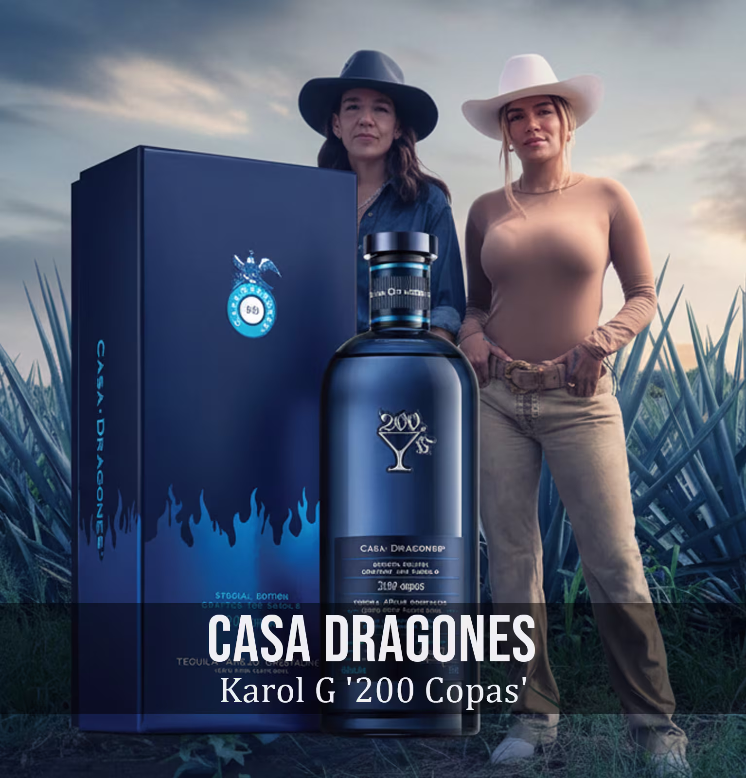 Casa Dragones